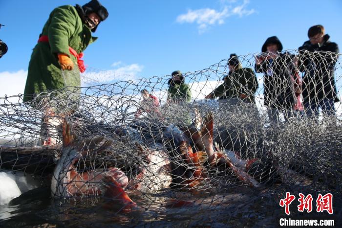 新疆哈密市巴里坤草原上二渠水库冬捕现场渔民在捕鱼。　达吾提 ? 热夏提 摄