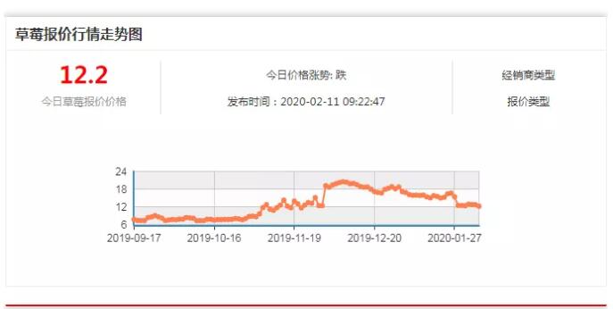2020年前年后草莓价格“大跳水”，如何解决草莓的卖难之急？