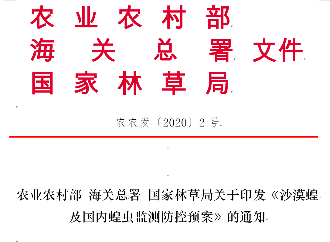 沙漠蝗新媒体稿件――农民日报1537.png