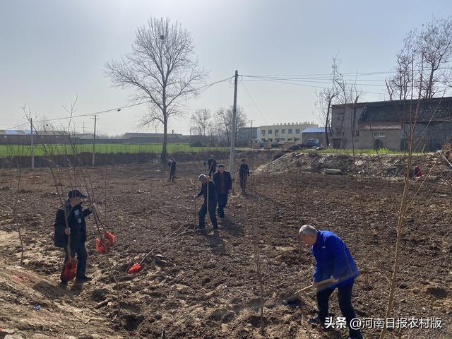 许昌市建安区东张社区：荒坑荒地变游园