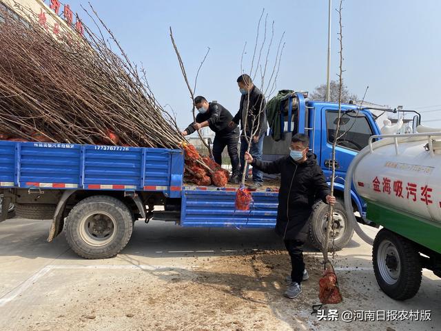 许昌市建安区东张社区：荒坑荒地变游园