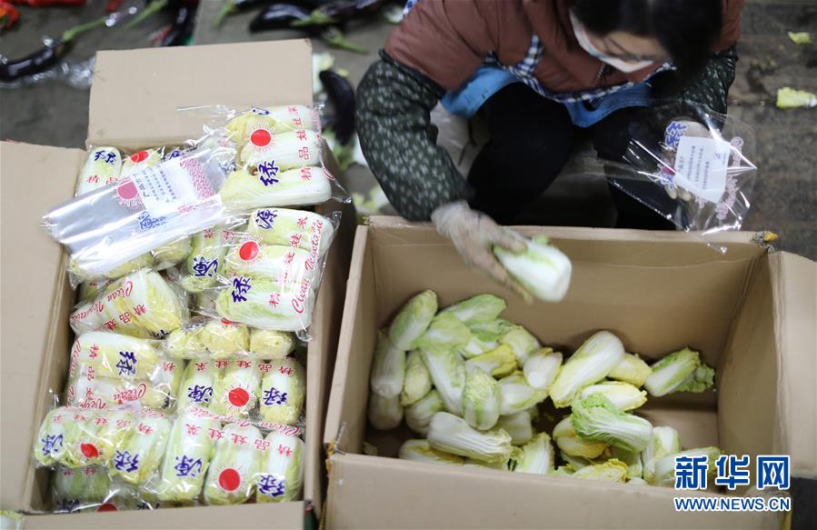 （聚焦疫情防控?图文互动）（2）特写：蔬菜批发市场里感受“春”意