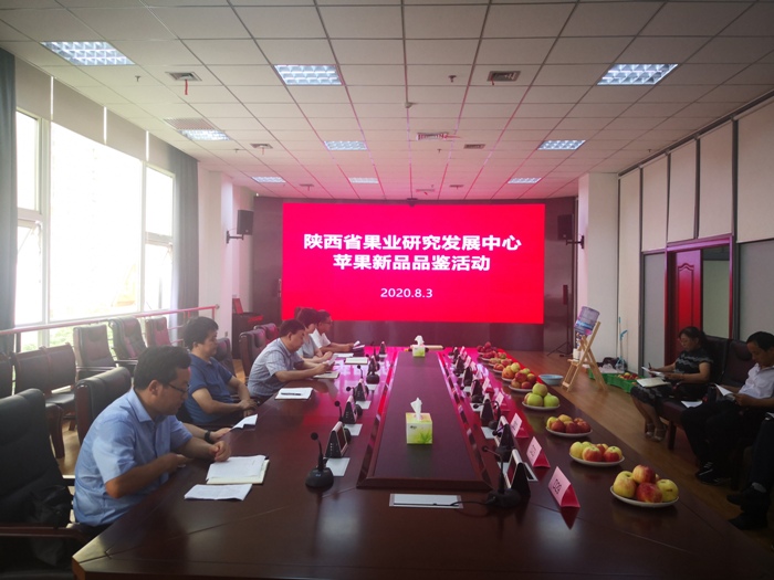 微信图片_20200804111403.jpg
