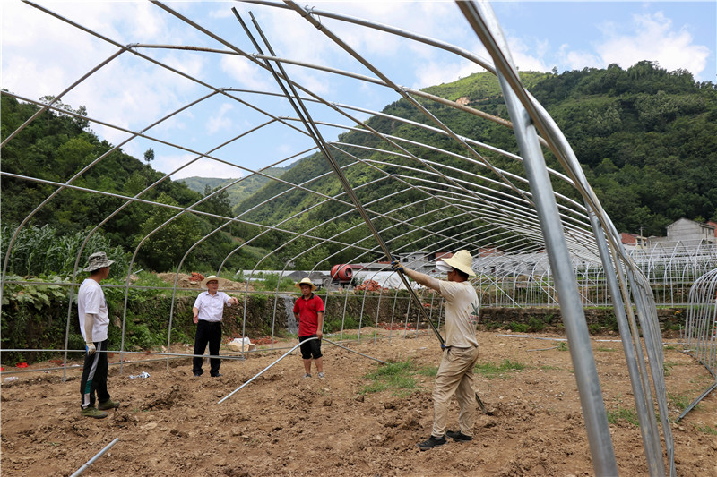 正在建设的早阳镇高举村蔬菜保供园区.jpg