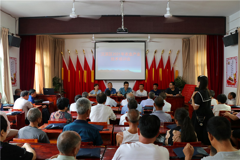 大坪社区产业技术培训会.jpg