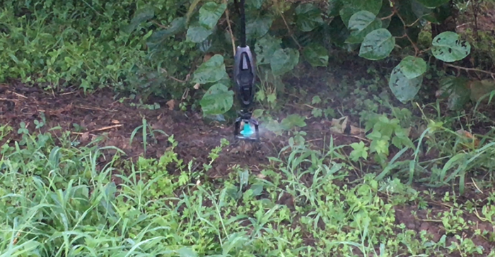 image003.png