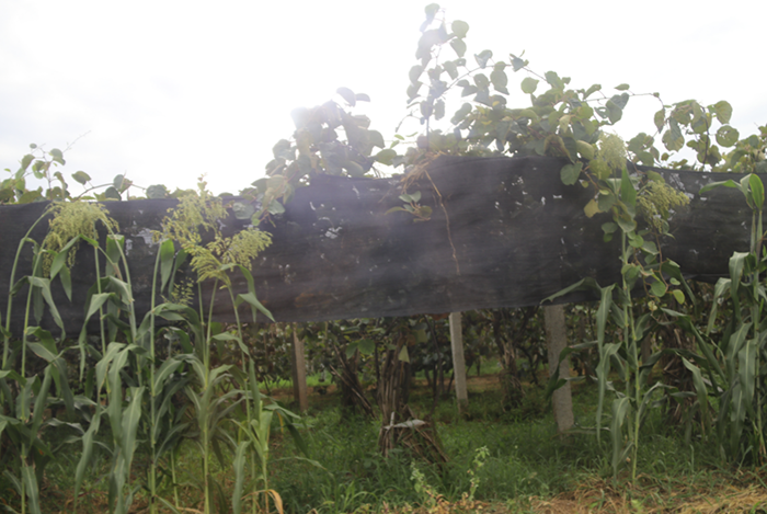 image013.png