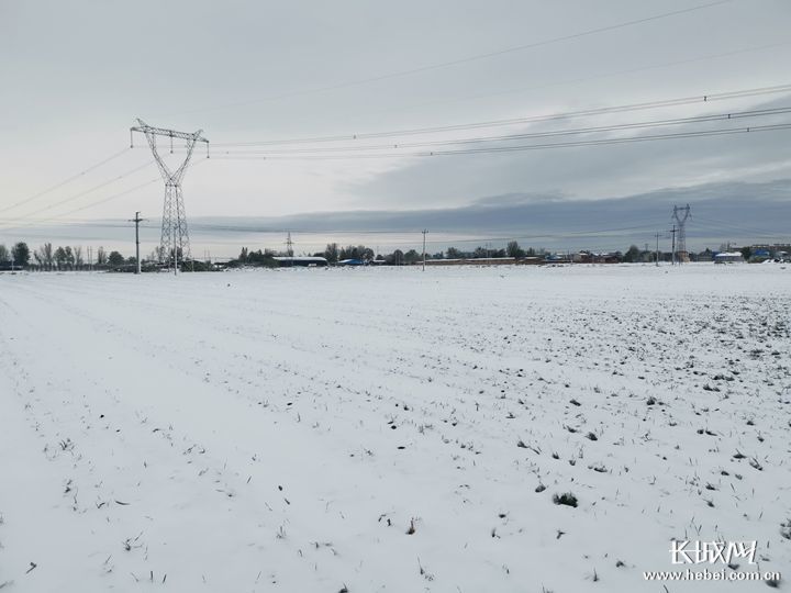 在藁城区南孟镇韩家洼村一农户的地里，大雪将小麦覆盖。长城网?冀云客户端记者 贾宏博 通讯员 刘和宾 摄