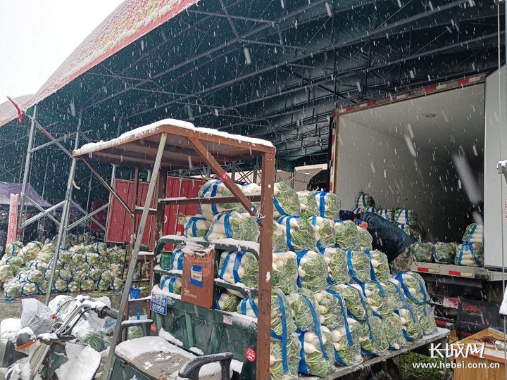 首衡河北新发地市场，工作人员裹着厚厚的棉大衣一起搬货、出货。长城网?冀云客户端记者胡晓梅 通讯员 吴青杨 摄